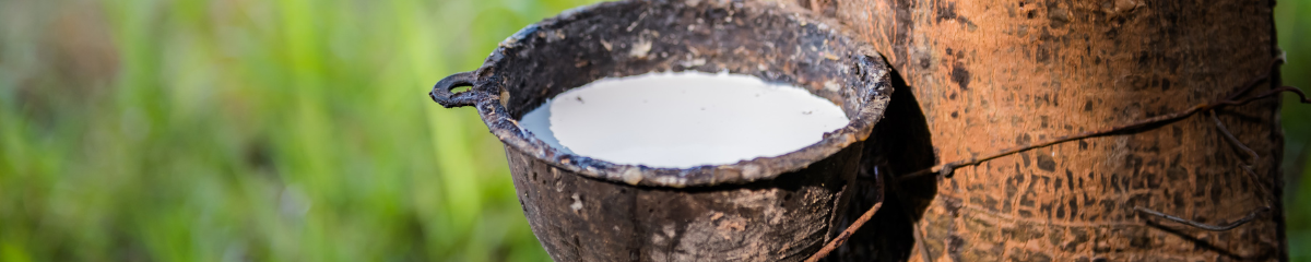 is-latex-biodegradable-examining-its-environmental-impact-ecofamilyhub